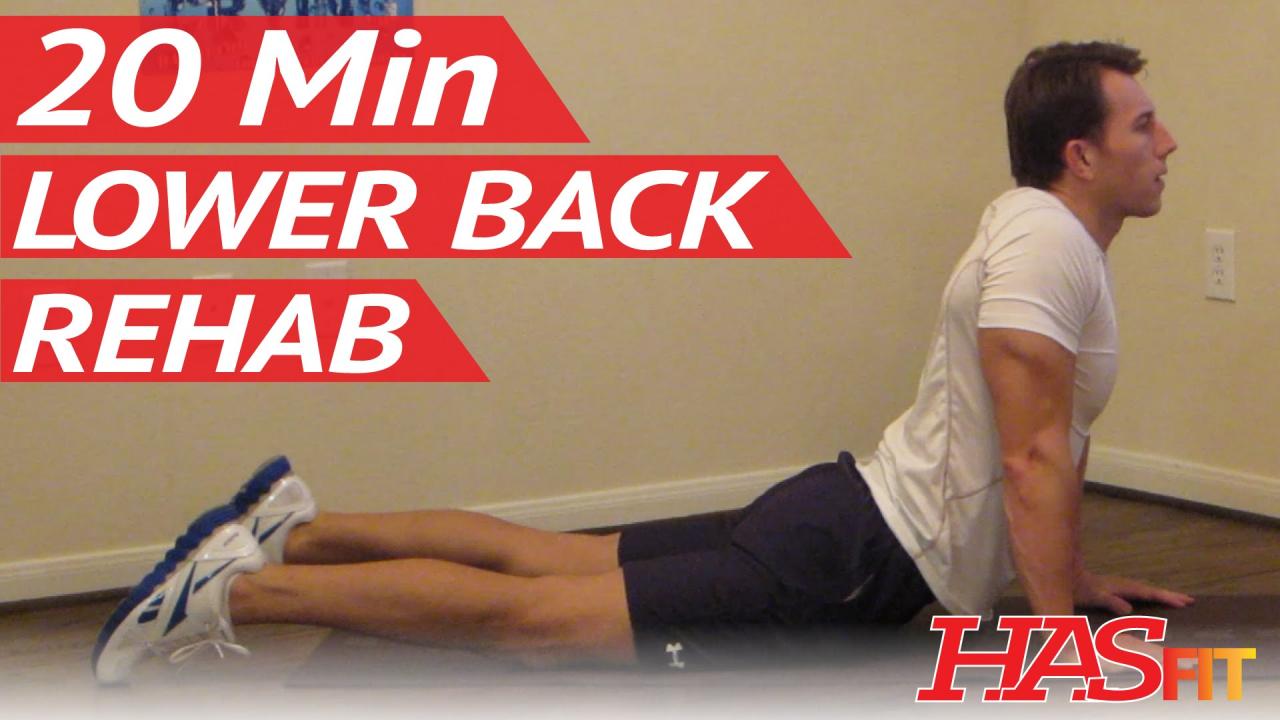 Exercises for lower back fat